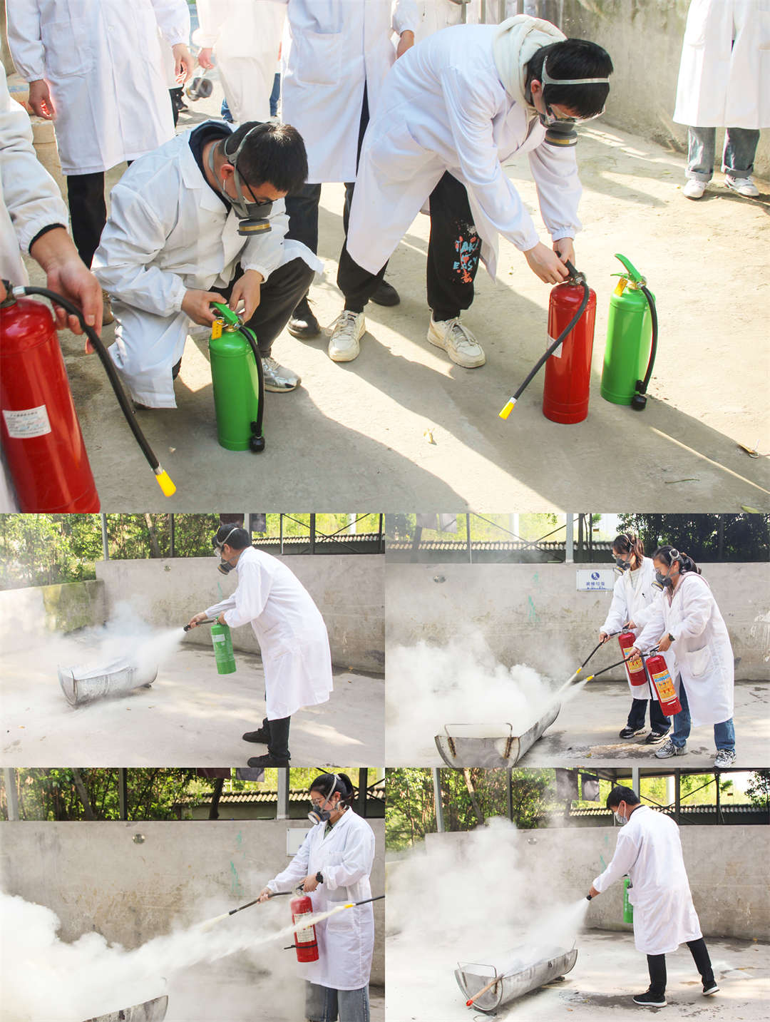 1719297181966314u9FX.jpg 5張合并.jpg